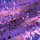 169000660