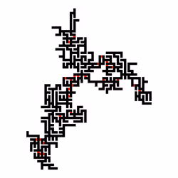Invasion Percolation #116