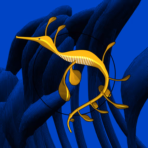 Seadragons #971