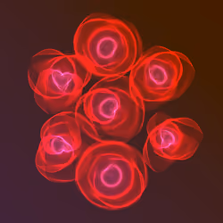 Flowers #1882