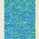 365000243