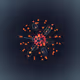 250000550