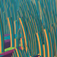119000555