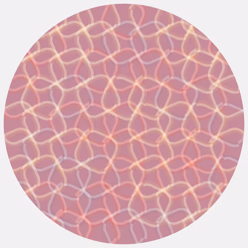 Item #166000522 Media