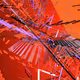 169000259