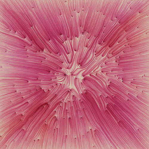 Item #271000010 Media