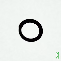 Ensō #85