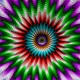 225000076
