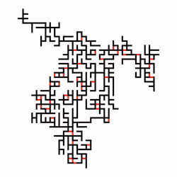 Invasion Percolation #79