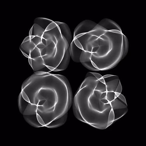 Flowers #4797