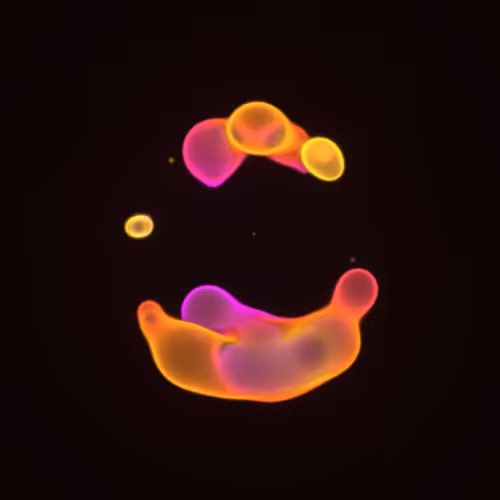 Bubble Blobby #419