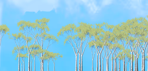 Item #254000116 Media