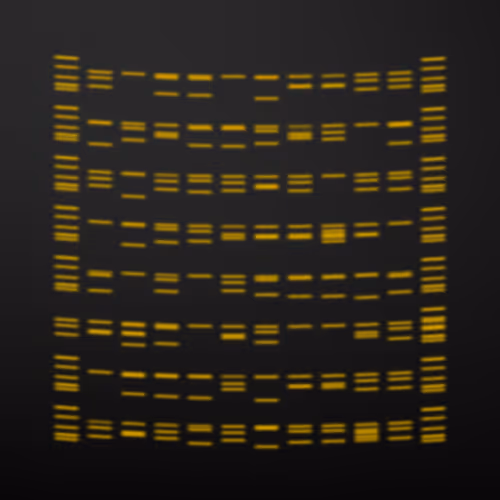 Gels #128
