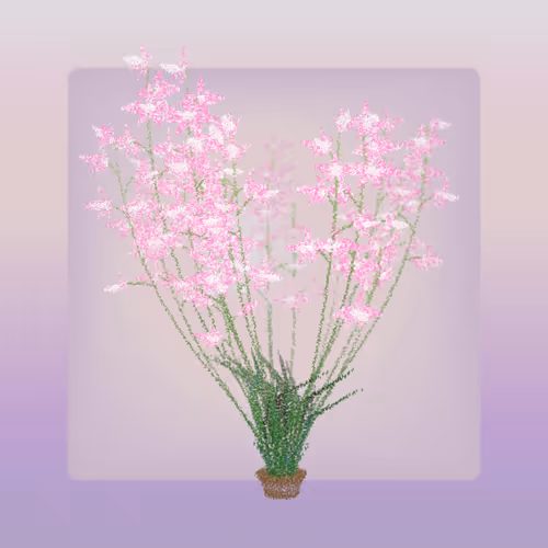 Cattleya By Ben Snell