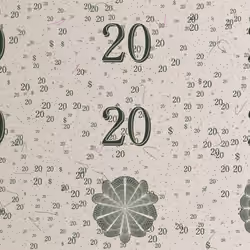 Fake Internet Money #975