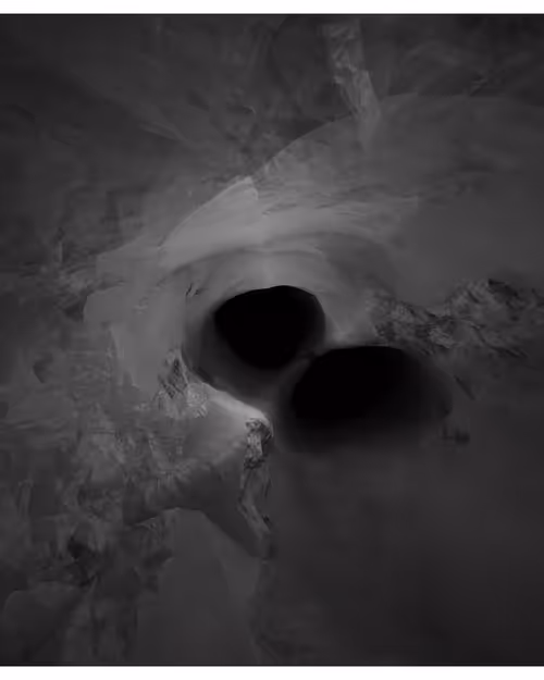 Item #217000045 Media