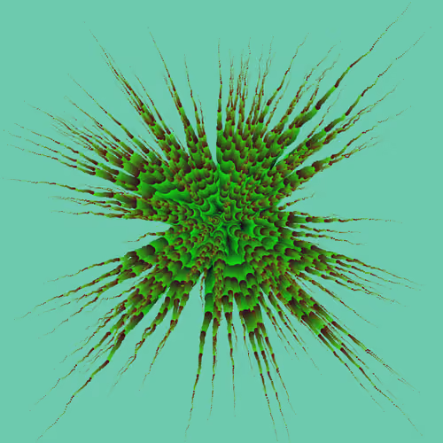 Star Flower #371