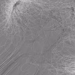 Phototaxis #671