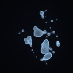 Bubble Blobby #70
