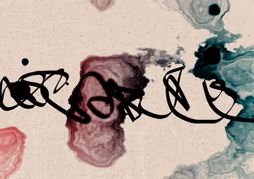 Item #328000377 Media