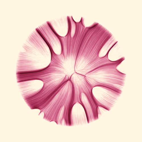 Item #96000029 Media