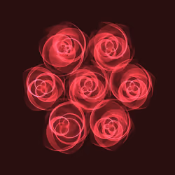 Flowers #2889