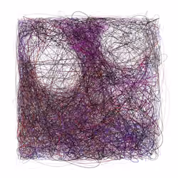 Scribbled Boundaries #841