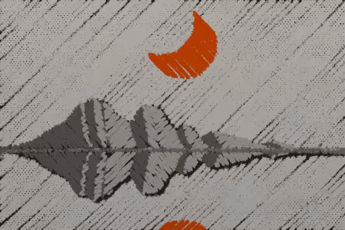 Item #358000251 Media