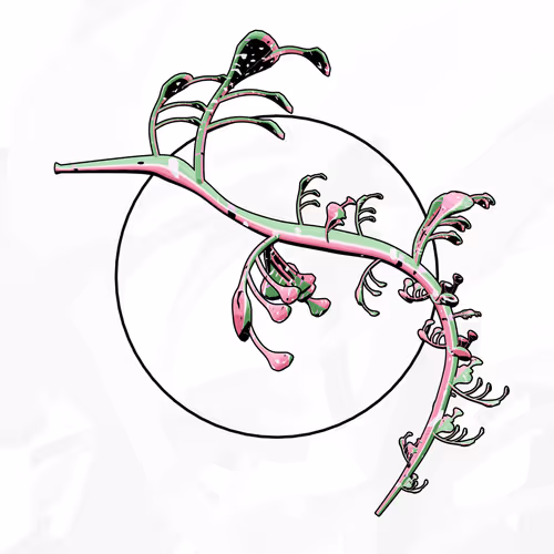 Item #160000333 Media