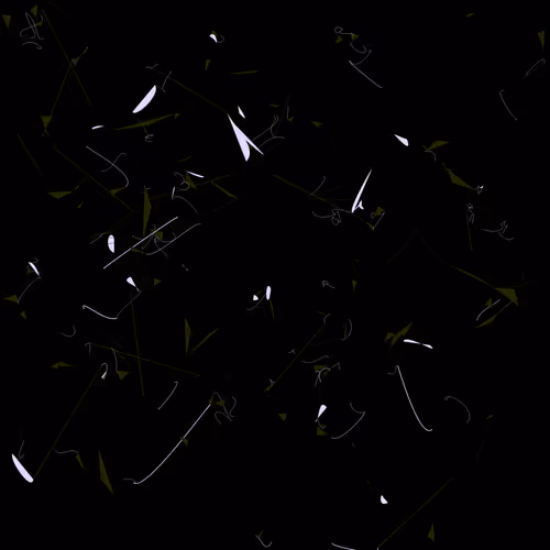 Item #244000044 Media