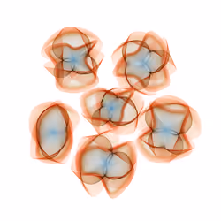 Flowers #2045
