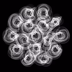 Flowers #1637