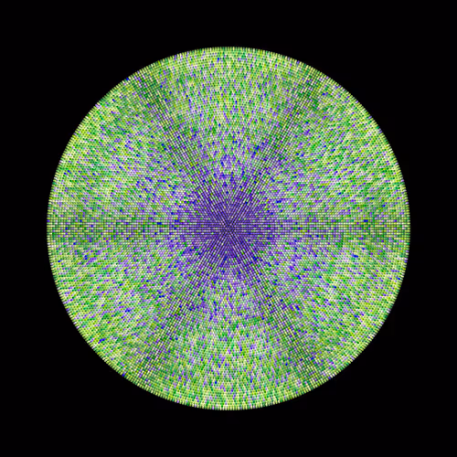 Transitions #1329