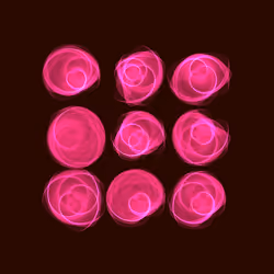 Flowers #2033