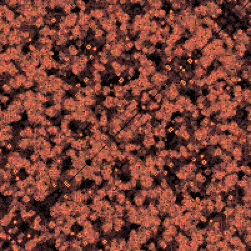 Item #175000036 Media