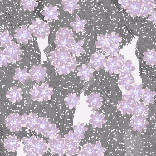 Fragments Of An Infinite Field By Monica Rizzolli