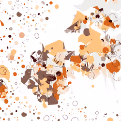 Coquina #170