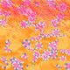 Fragments of an Infinite Field #421