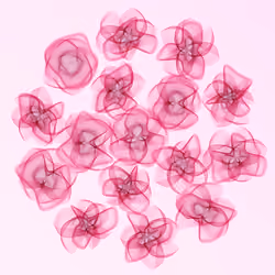 Flowers #4593