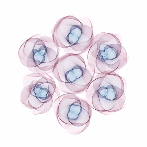 Flowers #3035