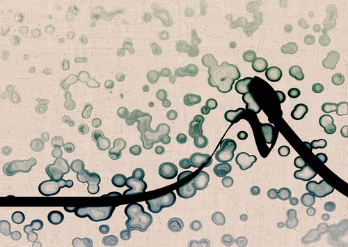 Item #328000352 Media