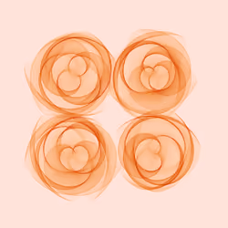 Flowers #432