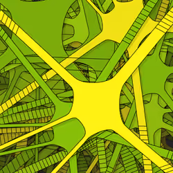 Cells #511