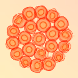 Flowers #470