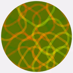 Ouroboros #417