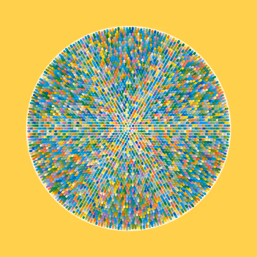 Transitions By Jason Ting X Matt Bilfield