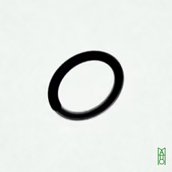 Ensō #431