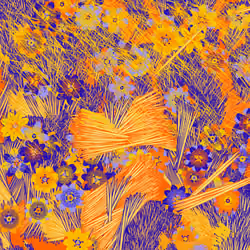 Fragments of an Infinite Field #179