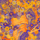 Fragments of an Infinite Field #179