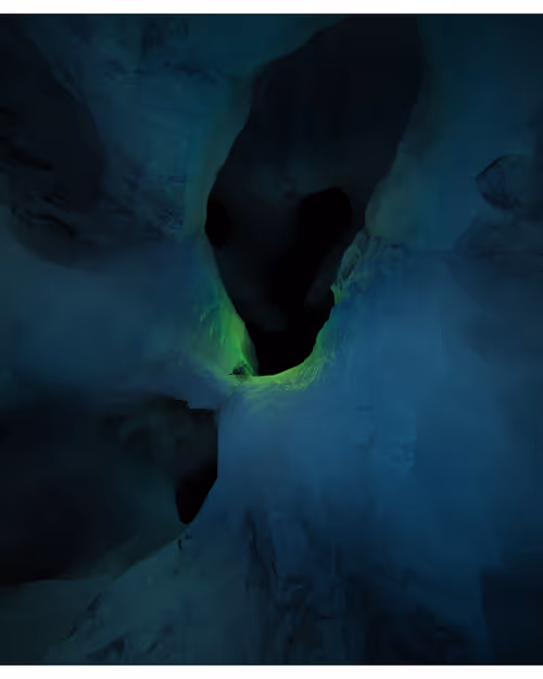 Item #217000346 Media